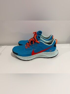 Nike Pegasus trail 3 size 13